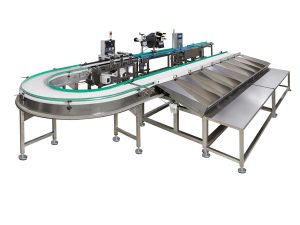 TEGLUS Sorter Checkweigher Kombine Hattı – Hızlı, Hassas ve Güvenilir Ağırlık Kontrolü