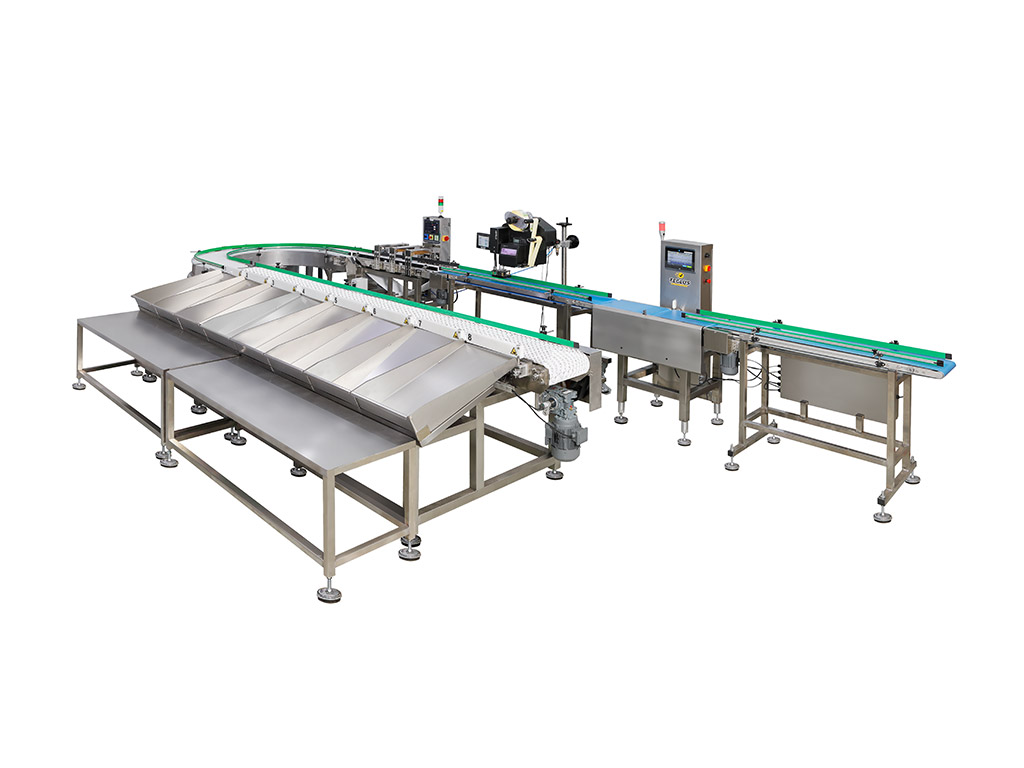 TEGLUS Sorter Checkweigher Kombine Hattı – Hızlı, Hassas ve Güvenilir Ağırlık Kontrolü