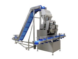 TEGLUS Lineer Kefeli Granül Kutu Dolum Makinesi